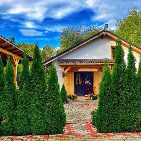 River Residence Chalet Statiunea Climaterica Sambata Dış mekan fotoğraf