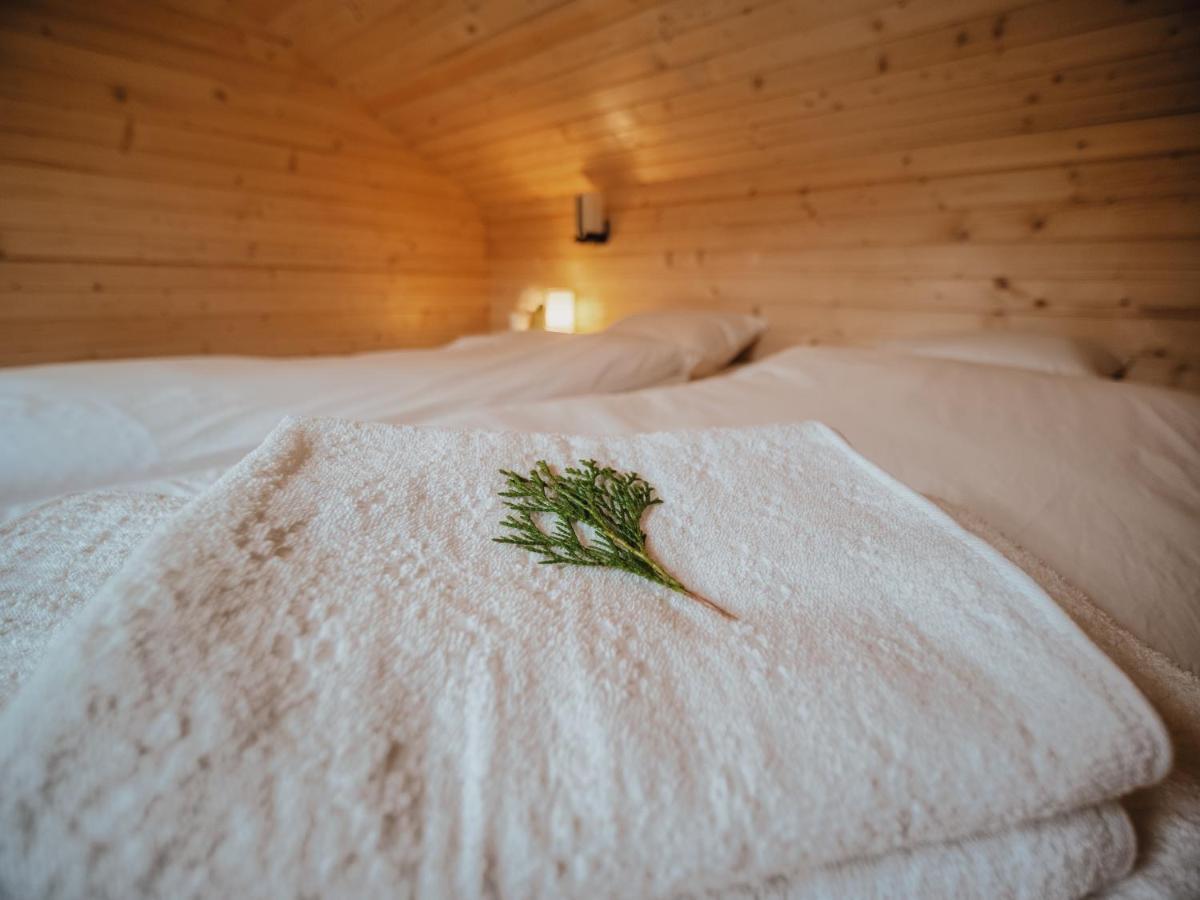 River Residence Chalet Statiunea Climaterica Sambata Dış mekan fotoğraf