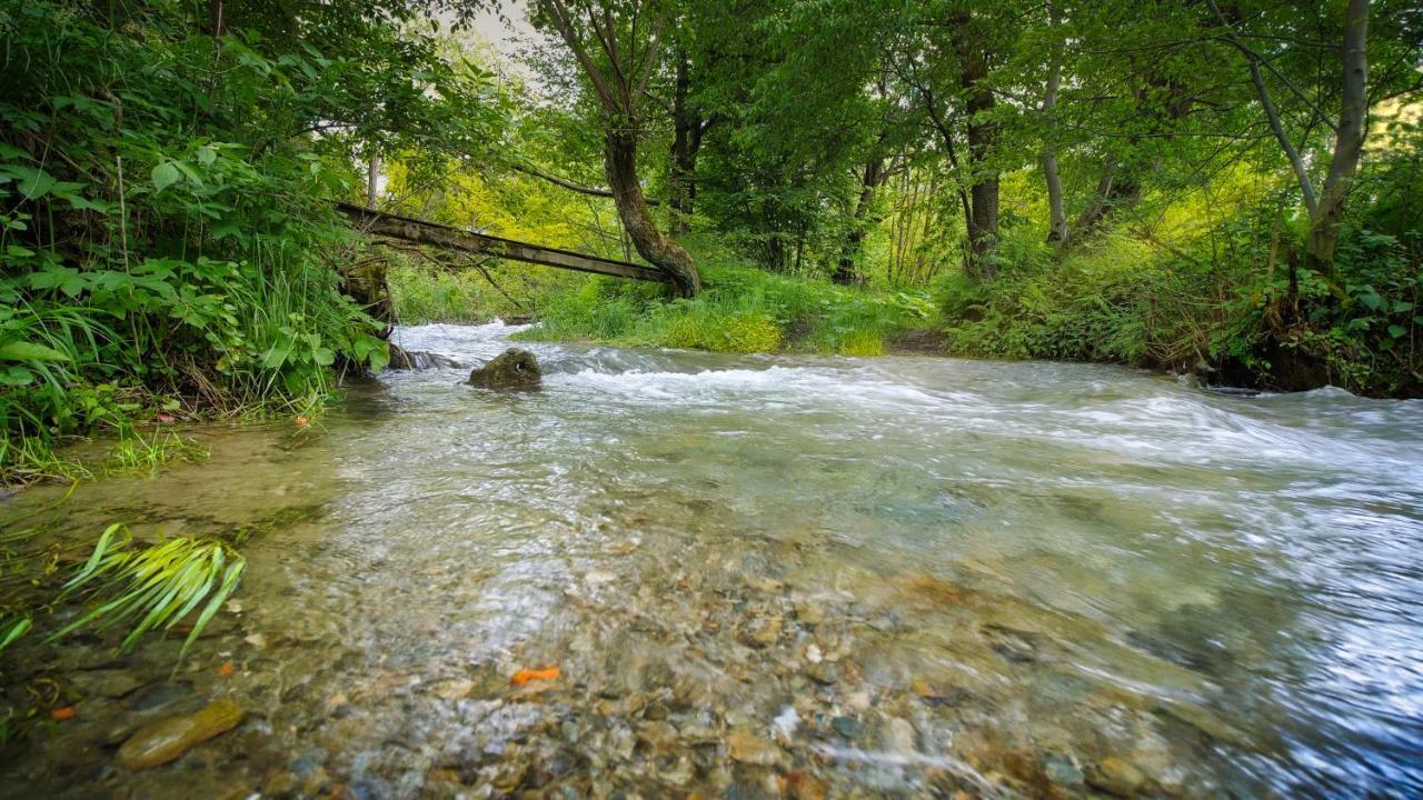 River Residence Chalet Statiunea Climaterica Sambata Dış mekan fotoğraf