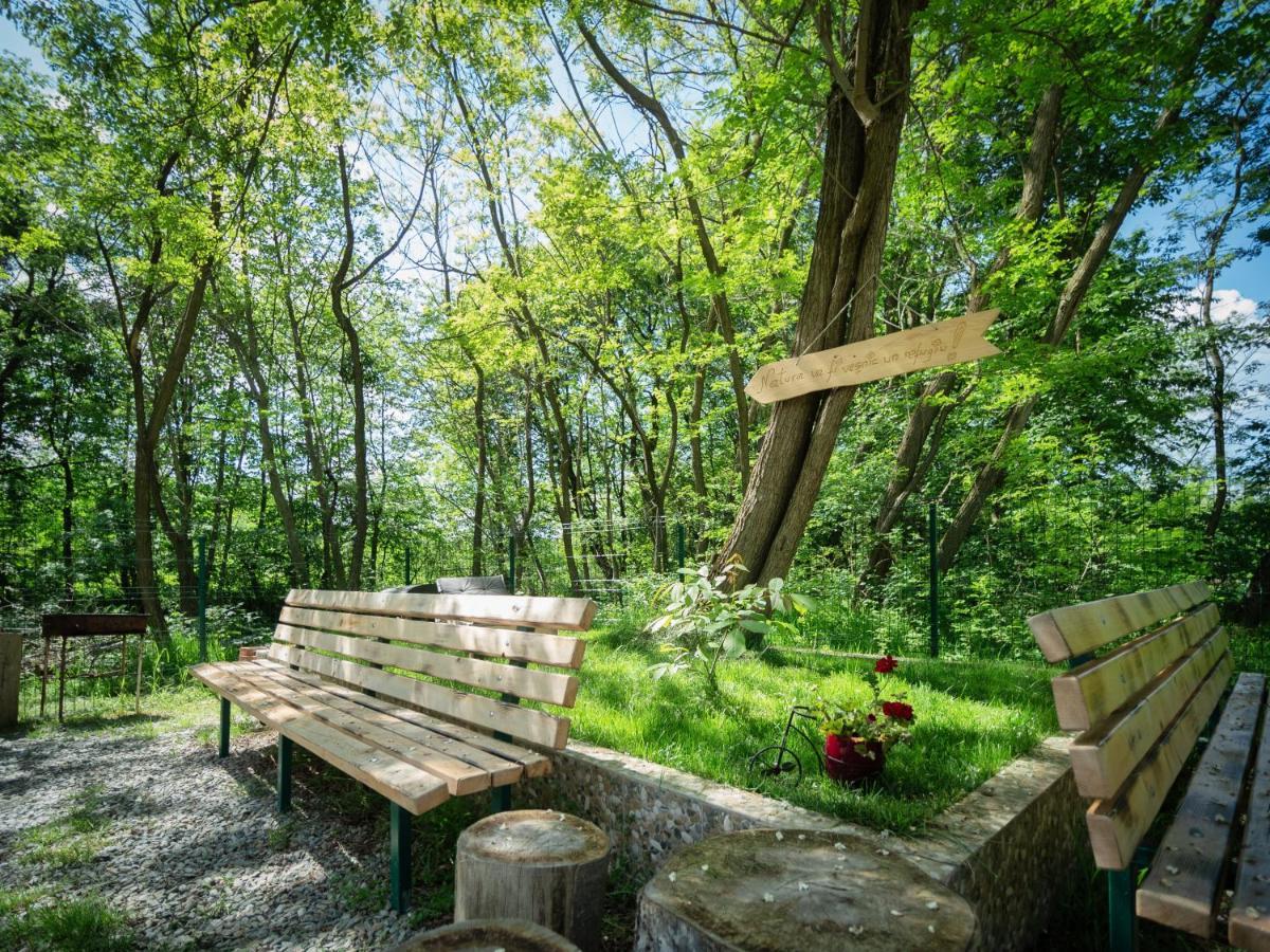 River Residence Chalet Statiunea Climaterica Sambata Dış mekan fotoğraf