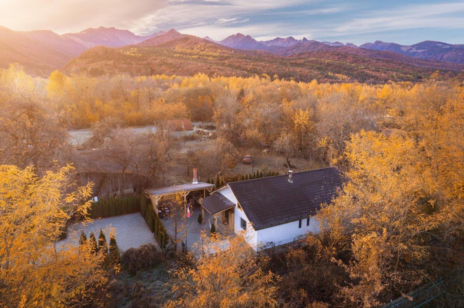 River Residence Chalet Statiunea Climaterica Sambata Dış mekan fotoğraf
